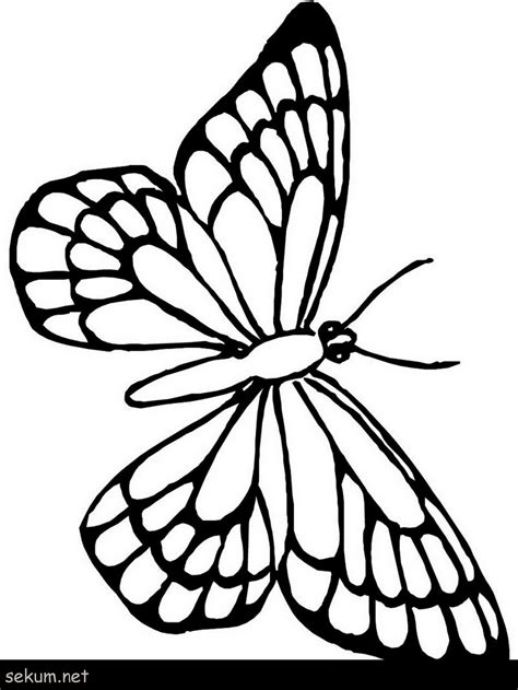 New 50 Free Printable butterfly Coloring Pages for Kids Online ...