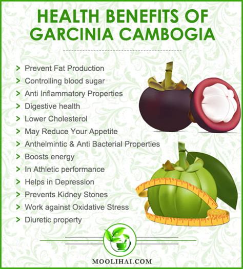 14 Proven Health Benefits of of GARCINIA CAMBOGIA [Kadampuli]