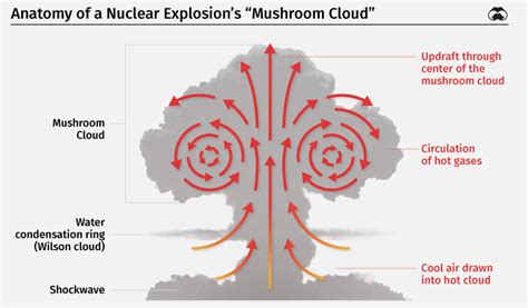 The Top 10 Largest Nuclear Explosions, Visualized - Global ...