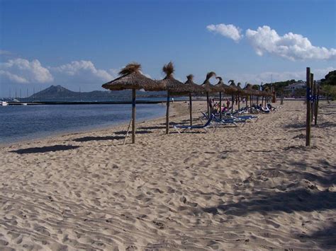 Puerto Pollensa Beach - Things To Do In Puerto Pollensa - Mallorca