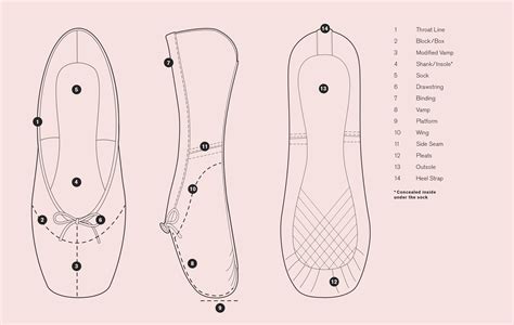 Pointe Shoe Anatomy - Anatomy Book