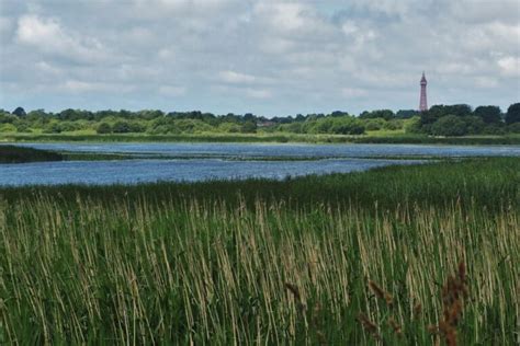 Marton Mere Nature Reserve • natural landscapes with Live Blackpool