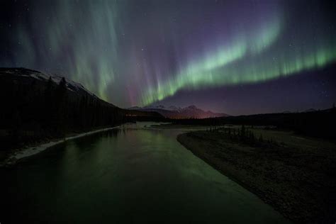 10 Reasons Why You Should Visit The Jasper Dark Sky Festival