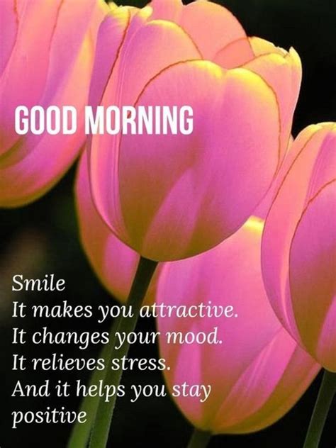 Good Morning Smile It Makes You Attractive Pictures, Photos, and Images ...