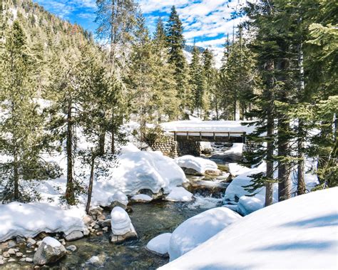 A Winter Visit in Sequoia / Kings Canyon National Park - First Step Fortune