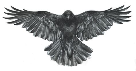 crow with wings spread | Crow tattoo, Crow tattoo design, Raven tattoo