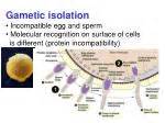 PPT - Biology 212 Chapter 24 PowerPoint Presentation - ID:2279717