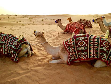 Tour por Medio Oriente - Viatge, tu agencia de viajes