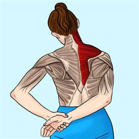 Upper trapezius stretch by Shana Martin - Exercise How-to - Skimble