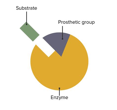 Enzymes Pictures