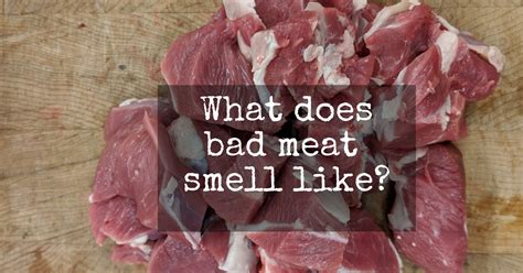 What does bad meat smell like? - Butcher Magazine