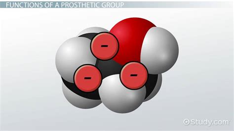 Prosthetic Group: Definition & Overview - Video & Lesson Transcript ...