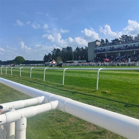 Ludlow Racecourse | Ludlow