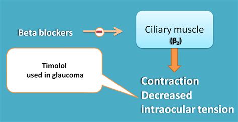 Actions and uses of beta blockers