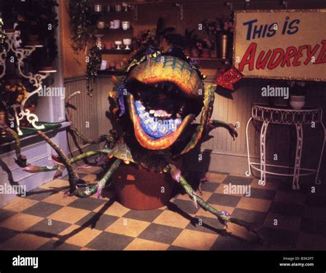 LITTLE SHOP OF HORRORS 1986 Warner film Stock Photo - Alamy