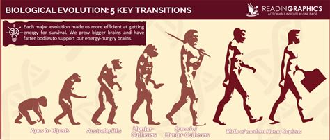 What can we learn from human evolution? - Readingraphics