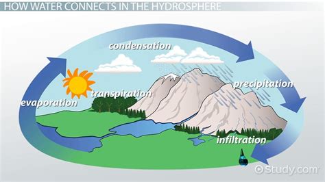 Hydrosphere Diagram For Kids