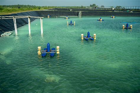 5 Jenis Aerator Tambak Udang beserta Fungsinya - DELOS Aqua