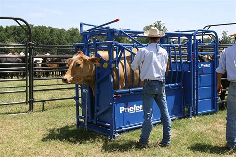 41 best Cattle Equipment images on Pinterest | Cattle, Cow and Farming