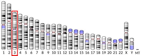 Neprilysin - Wikipedia