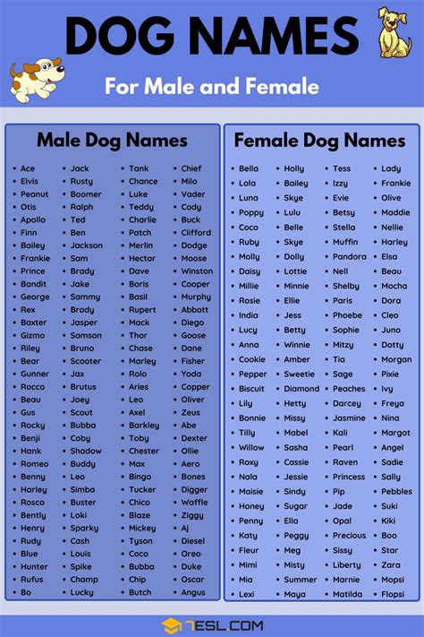 Dog Names: 100+ Most Popular Male and Female Dog Names • 7ESL