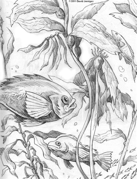 Underwater Pencil Drawing at GetDrawings | Free download