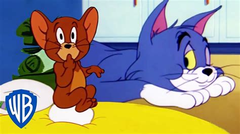 Tom and jerry videos mp4 - billaphoenix