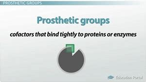 Cofactors vs. Coenzymes | Definition, Differences & Examples - Lesson ...