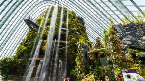 Cloud Forest Dome, Singapore: The multi-storey green wonderland that's ...