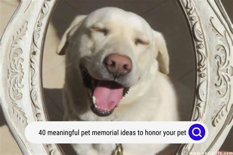 40 Meaningful Pet Memorial Ideas To Honor Your Pet - Oodle Life