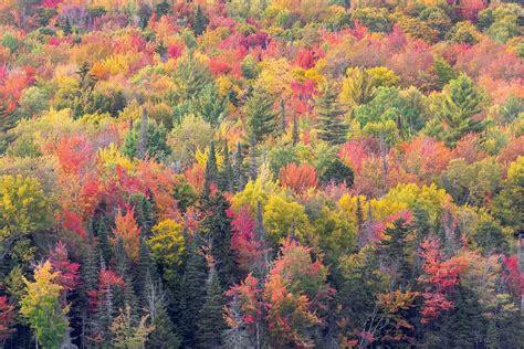 Vermont Fall Colors Photo Workshop