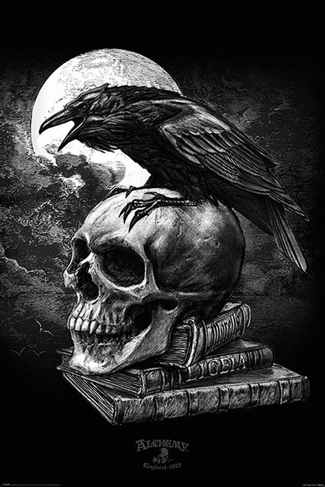 Alchemy Poster Poe's Raven | Alchemy gothic art, Raven art, Dark art