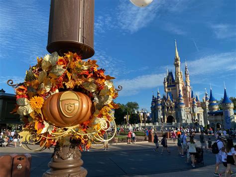 PHOTOS: New Cinderella's Pumpkin Carriage Wreaths Hung on Magic Kingdom ...