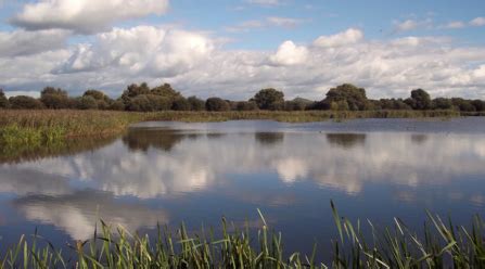 A new look for the Avalon Marshes | Somerset Wildlife Trust