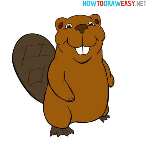 How to Draw a Cartoon Beaver - How to Draw Easy