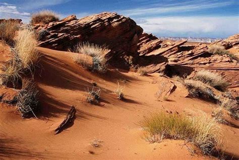 Desert Biome | Definition, Location, Characteristic