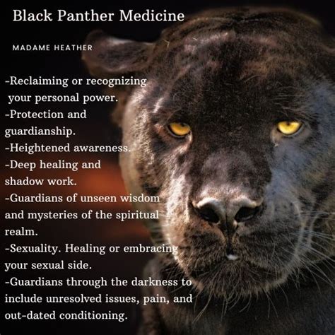 Black Panther Spirit Animal | Black jaguar animal, Spirit animal ...