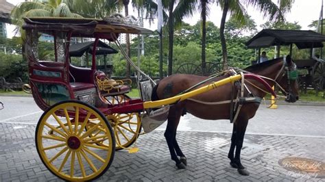 Kalesa - Spanish colonial transportation from the Philippines (118th ...