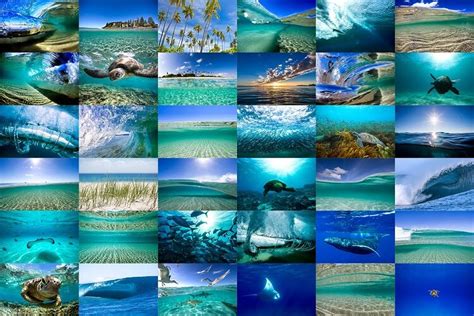 45 Best Roku Screensavers You Shall Try - Roku TV Stick