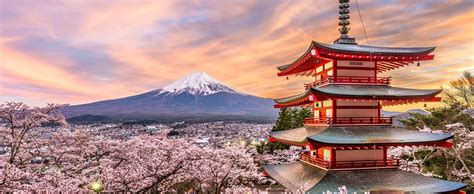 Japanese Cherry Blossom Tours 2024 - 2025