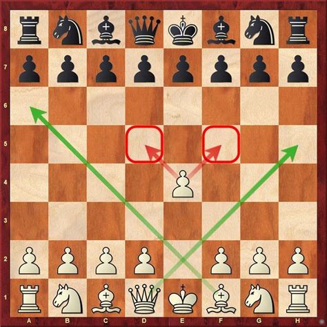 Best Chess Openings For Black Beginners - Get More Anythink's