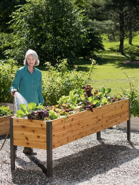 Self-Watering Eco-Stained Elevated Cedar Planter | Gardeners.com ...