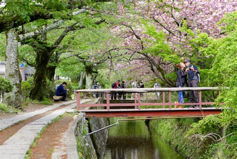 Kyoto on a budget - Your Japan