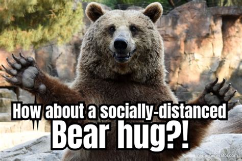 How about a socially-distanced Bear hug?! - Meme Generator