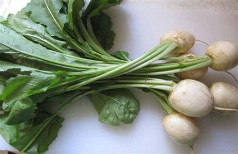 Turnip Greens Benefits, Nutrition Facts, How to Cook, Recipes