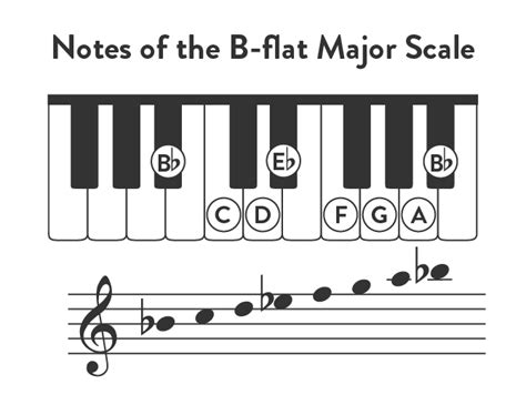 B-Flat Major Piano Scale | Notes, Chords, Finger Positions