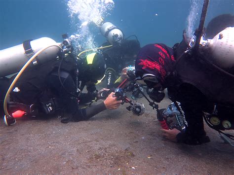 Inilah Penampakan Cacing Bobbit, Alien dari Dasar Laut - Mongabay.co.id