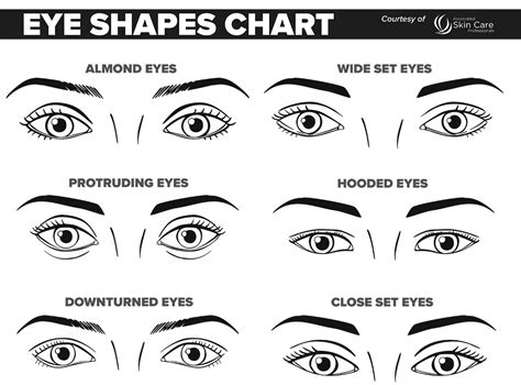 Practice Eye Makeup Sheets | Makeupview.co