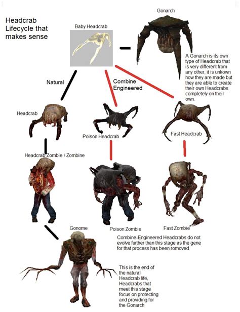 The Headcrab Lifecycle : r/HalfLife