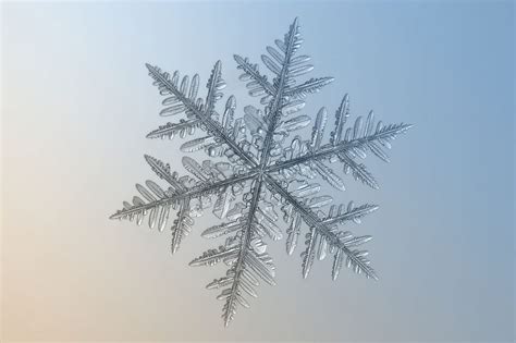 PHOTOS: Inside the breathtaking world of snowflakes, magnified ...